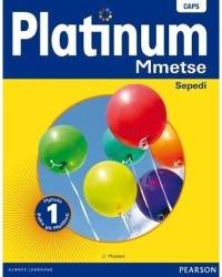 PLATINUM MMETSE GR 1 (LEARNERS BOOK) (CAPS)