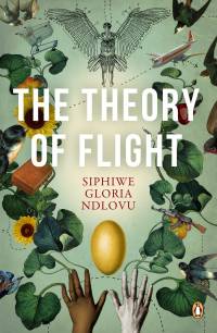 THEORY OF FLIGHT